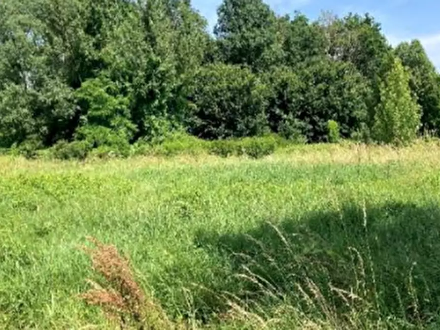 Immagine 2 di Terreno agricolo in vendita  in Via del Porto Patriarcale a Palazzolo Dello Stella
