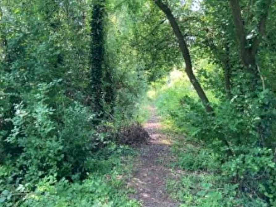 Immagine 3 di Terreno agricolo in vendita  in Via del Porto Patriarcale a Palazzolo Dello Stella