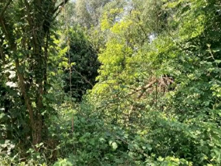 Immagine 4 di Terreno agricolo in vendita  in Via del Porto Patriarcale a Palazzolo Dello Stella