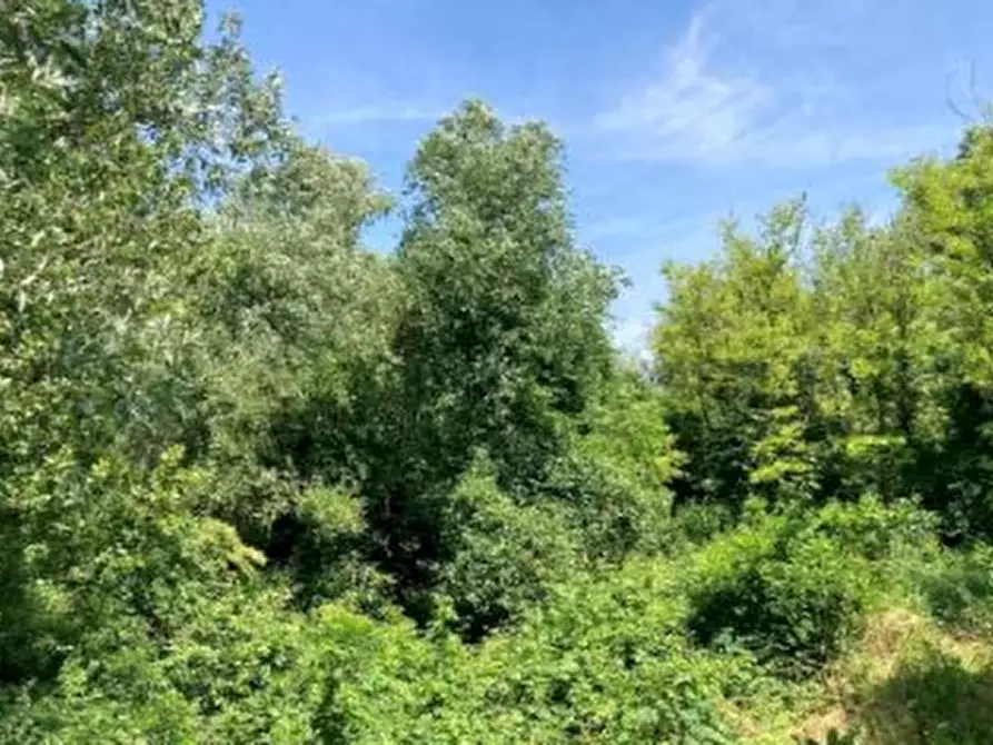 Immagine 5 di Terreno agricolo in vendita  in Via del Porto Patriarcale a Palazzolo Dello Stella