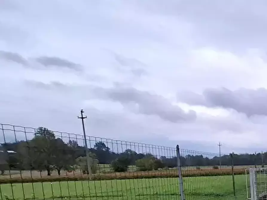 Immagine 6 di Capannone industriale in vendita  in Via Borgo Bello a Cassacco