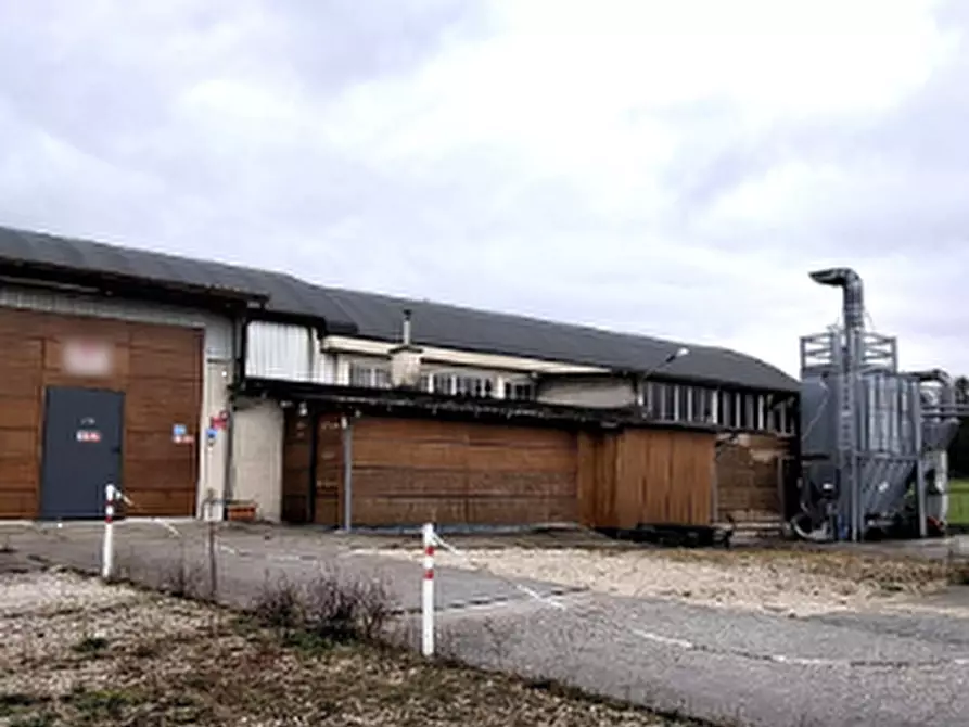 Immagine 10 di Capannone industriale in vendita  in Via Borgo Bello a Cassacco