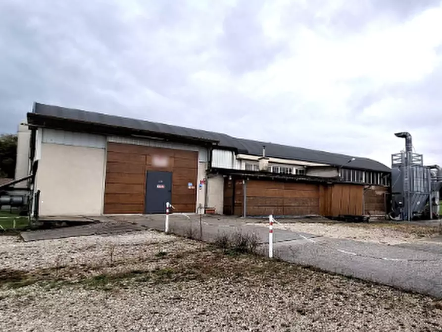 Immagine 1 di Capannone industriale in vendita  in Via Borgo Bello a Cassacco