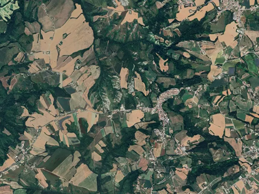 Immagine 10 di Laboratorio in vendita  in località Falerone a Falerone