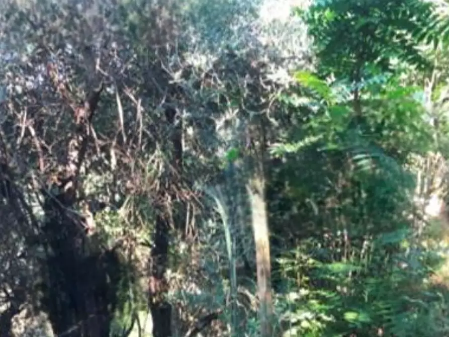 Immagine 6 di Casa indipendente in vendita  in Via Valenta a Serravalle Pistoiese