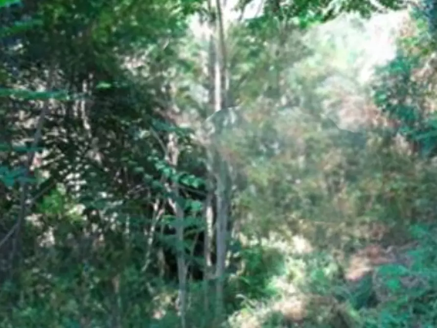 Immagine 7 di Casa indipendente in vendita  in Via Valenta a Serravalle Pistoiese