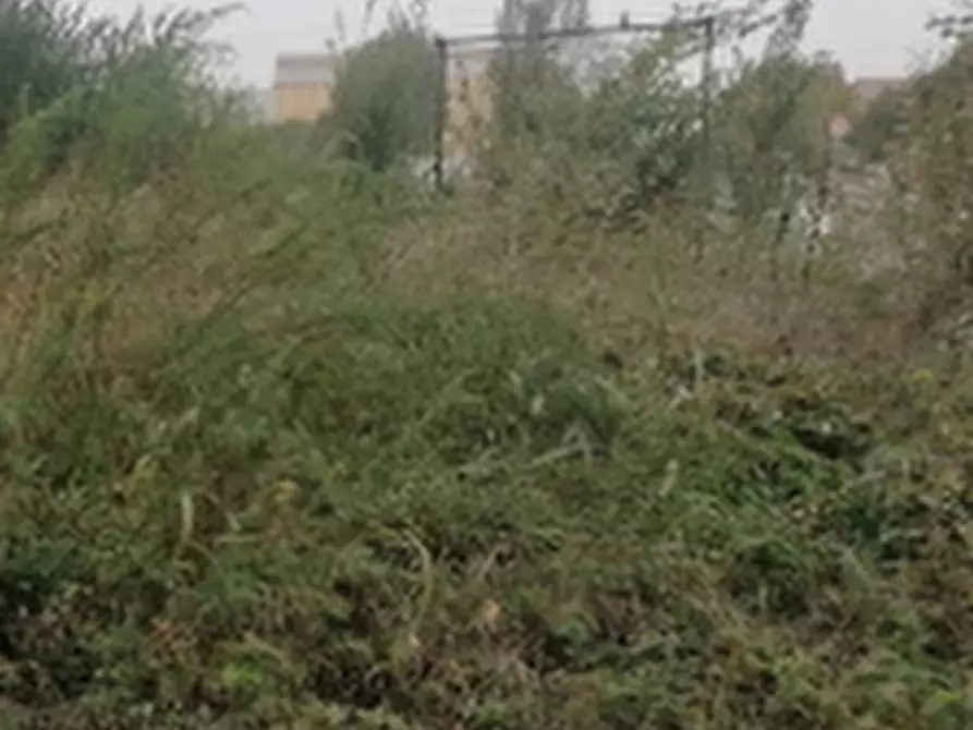 Immagine 2 di Terreno edificabile in vendita  in Strada Bergonzi a Parma
