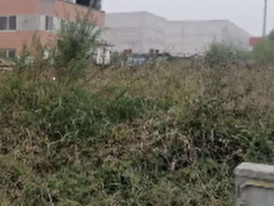 Immagine 3 di Terreno edificabile in vendita  in Strada Bergonzi a Parma