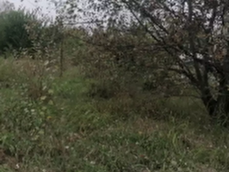 Immagine 1 di Terreno edificabile in vendita  in Strada Bergonzi a Parma