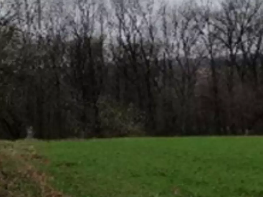 Immagine 2 di Terreno agricolo in vendita  in Via del Fontanone a Azzate