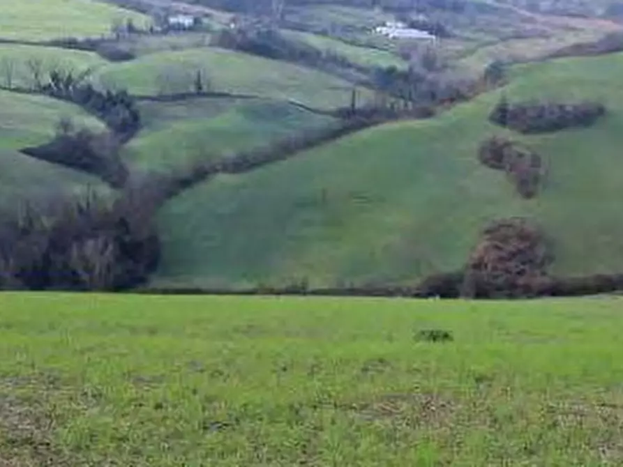 Immagine 2 di Terreno agricolo in vendita  in Strada Rocca delle Camminate a Meldola