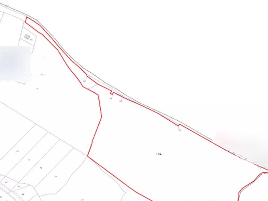 Immagine 3 di Terreno agricolo in vendita  in Strada Rocca delle Camminate a Meldola
