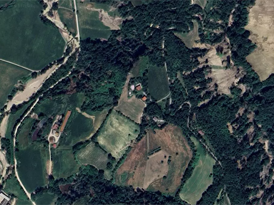 Immagine 5 di Terreno agricolo in vendita  in Strada Rocca delle Camminate a Meldola