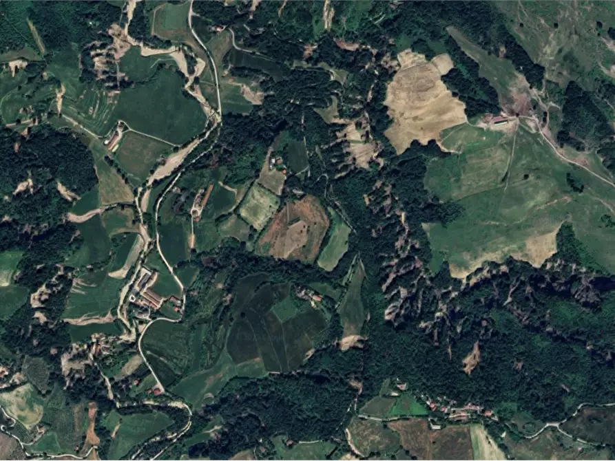 Immagine 6 di Terreno agricolo in vendita  in Strada Rocca delle Camminate a Meldola