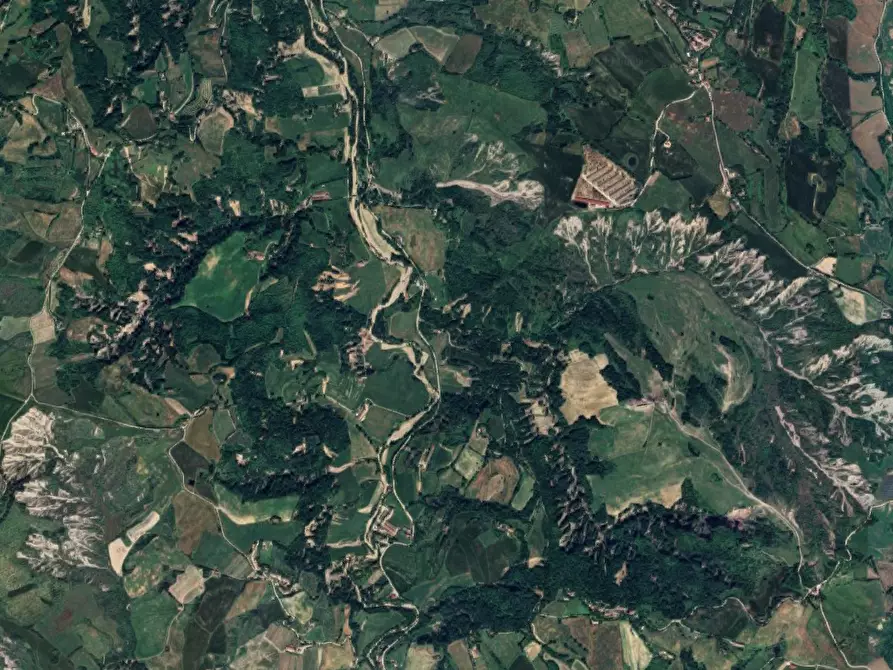 Immagine 7 di Terreno agricolo in vendita  in Strada Rocca delle Camminate a Meldola