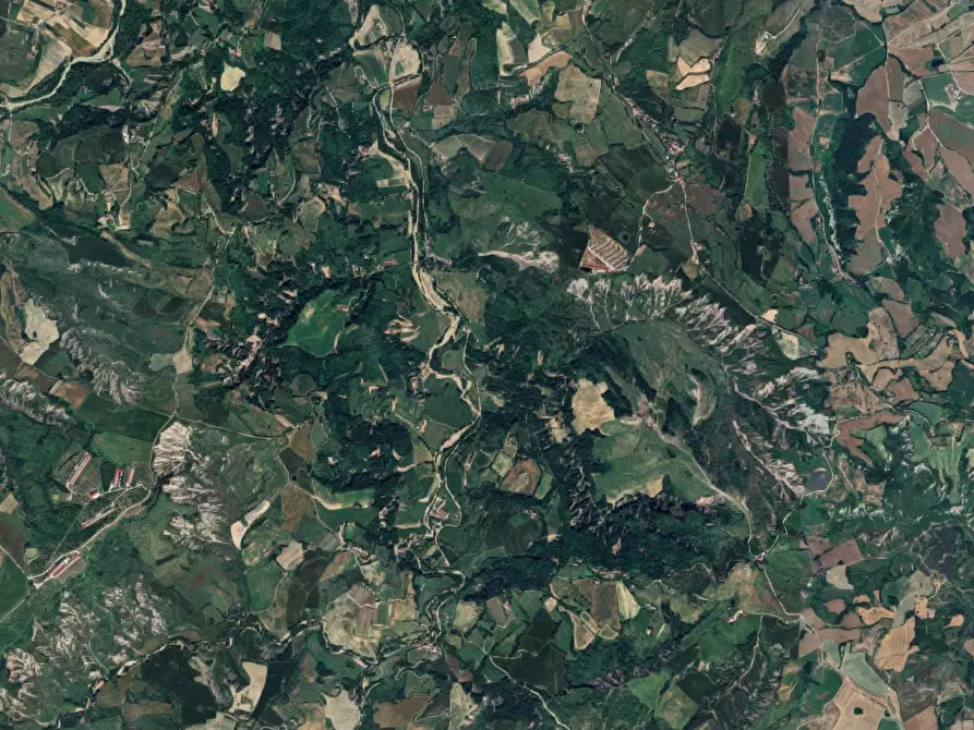 Immagine 8 di Terreno agricolo in vendita  in Strada Rocca delle Camminate a Meldola