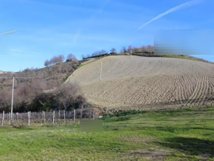 Immagine 7 di Casa indipendente in vendita  in Strada Bivio Teodorano   a Meldola