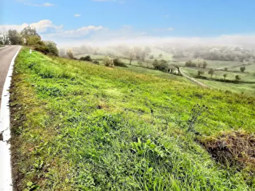 Immagine 1 di Terreno agricolo in vendita  in Via Mazzucchi a Coli