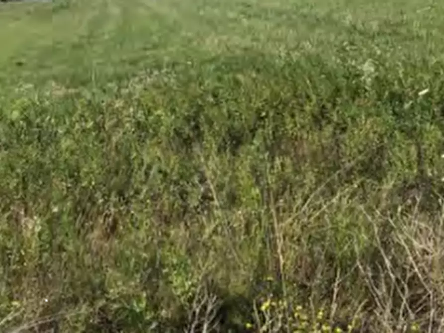 Immagine 4 di Terreno edificabile in vendita  in Via San Moro a Cividale Del Friuli