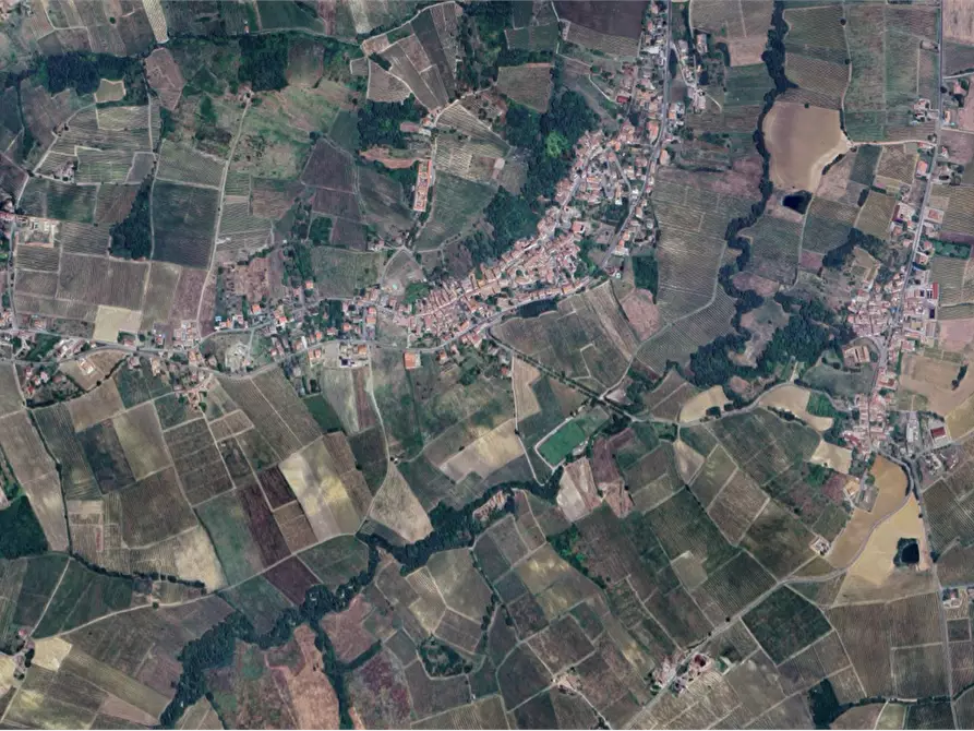 Immagine 11 di Azienda agricola in vendita  in Viale dei Mille a Ziano Piacentino