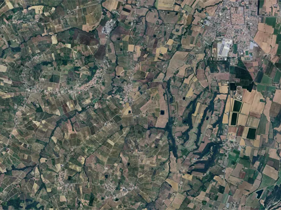 Immagine 12 di Azienda agricola in vendita  in Viale dei Mille a Ziano Piacentino