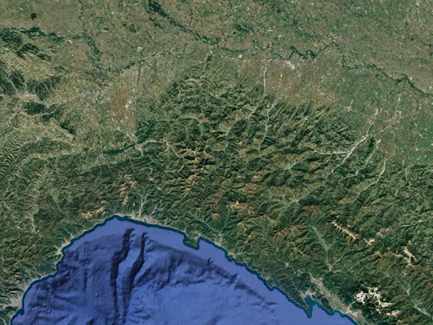 Immagine 15 di Azienda agricola in vendita  in Viale dei Mille a Ziano Piacentino