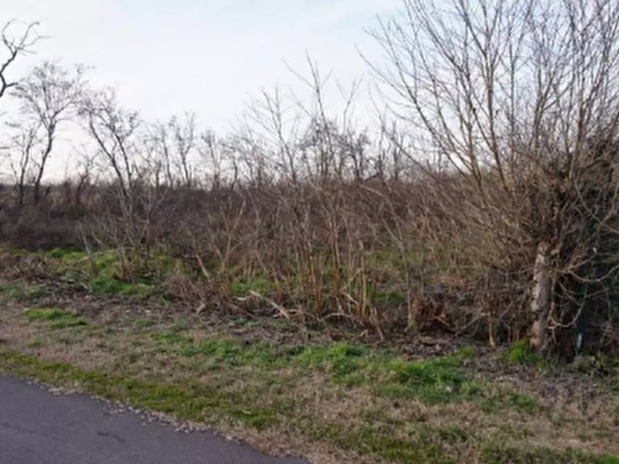 Immagine 2 di Terreno edificabile in vendita  in Via della Libertà a Gazzuolo