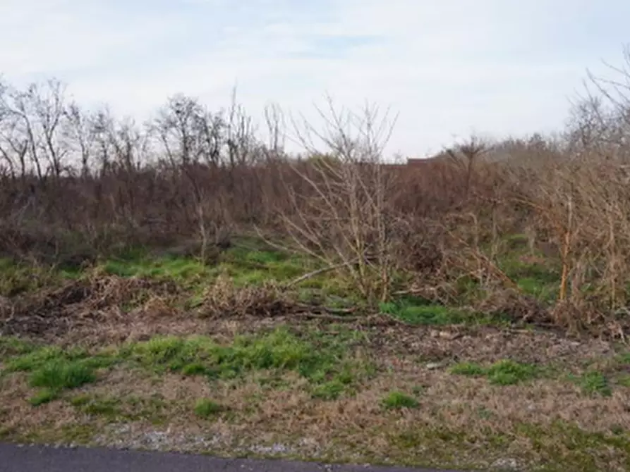 Immagine 3 di Terreno edificabile in vendita  in Via della Libertà a Gazzuolo