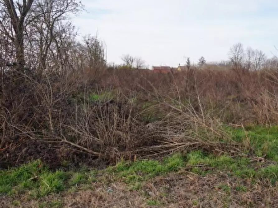 Immagine 4 di Terreno edificabile in vendita  in Via della Libertà a Gazzuolo