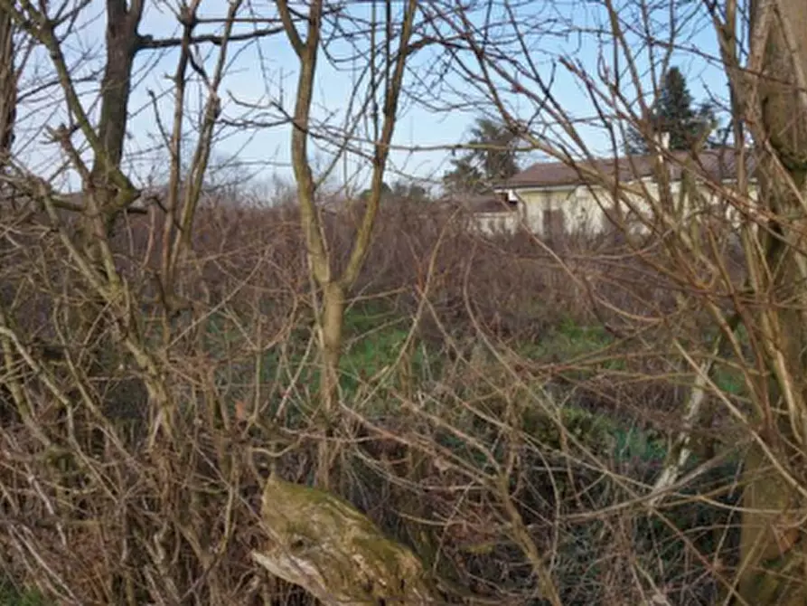 Immagine 5 di Terreno edificabile in vendita  in Via della Libertà a Gazzuolo