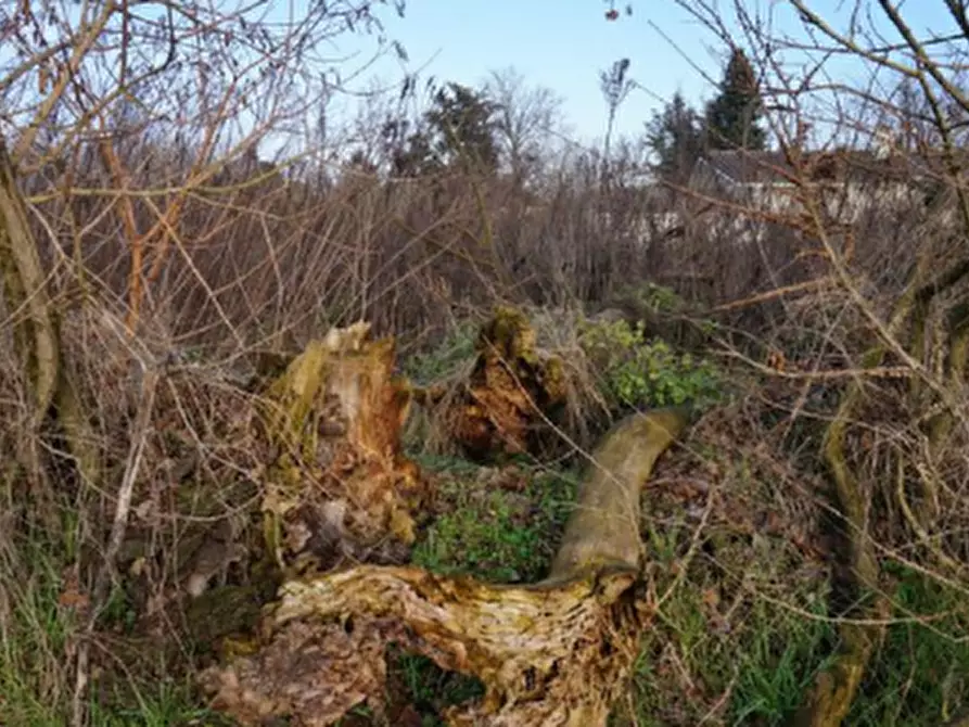 Immagine 8 di Terreno edificabile in vendita  in Via della Libertà a Gazzuolo