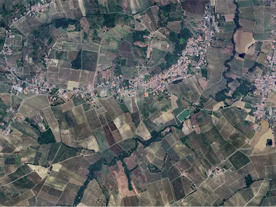 Immagine 17 di Azienda agricola in vendita  in Viale dei Mille a Ziano Piacentino