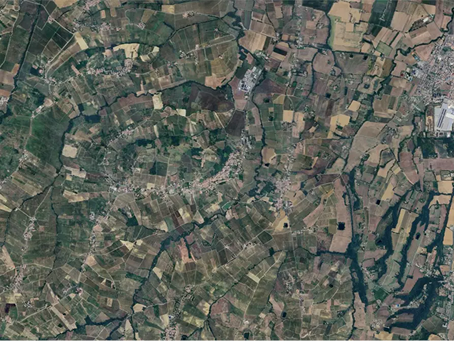 Immagine 18 di Azienda agricola in vendita  in Viale dei Mille a Ziano Piacentino