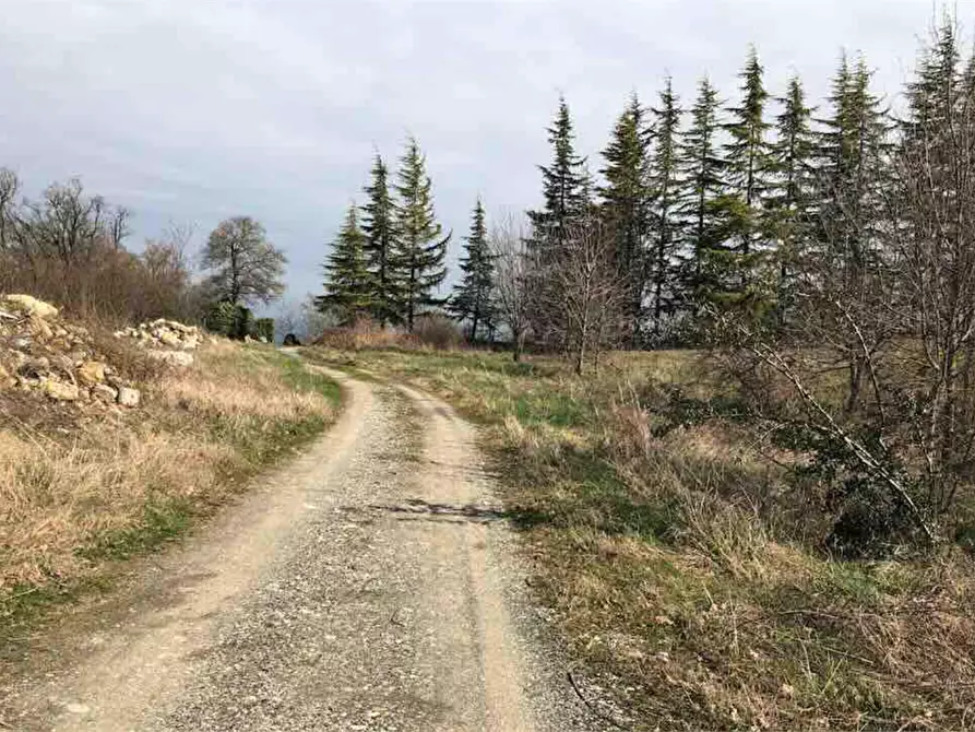 Immagine 2 di Terreno edificabile in vendita  in Località Boffalora a Gazzola