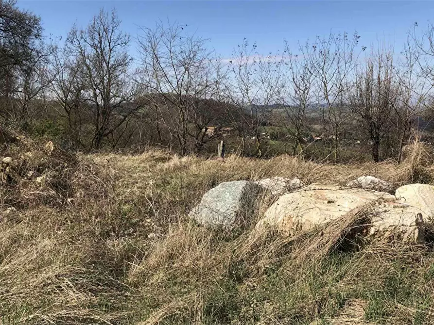 Immagine 3 di Terreno edificabile in vendita  in Località Boffalora a Gazzola