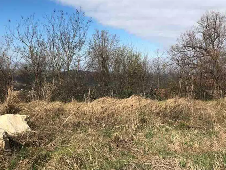 Immagine 4 di Terreno edificabile in vendita  in Località Boffalora a Gazzola