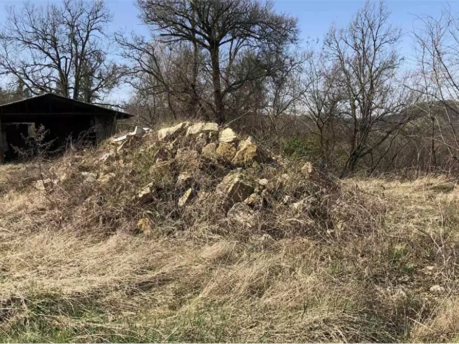 Immagine 5 di Terreno edificabile in vendita  in Località Boffalora a Gazzola