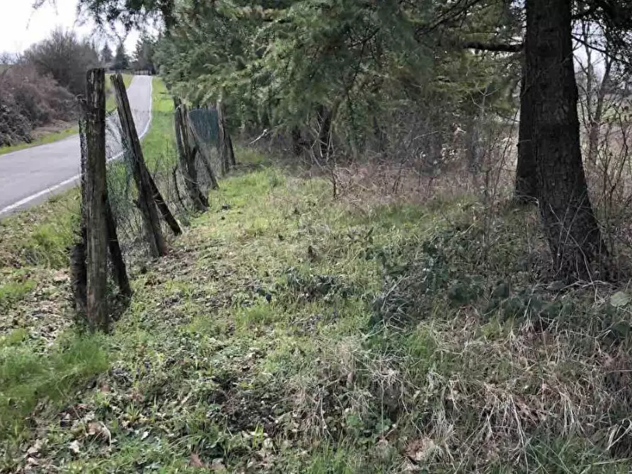 Immagine 11 di Terreno edificabile in vendita  in Località Boffalora a Gazzola