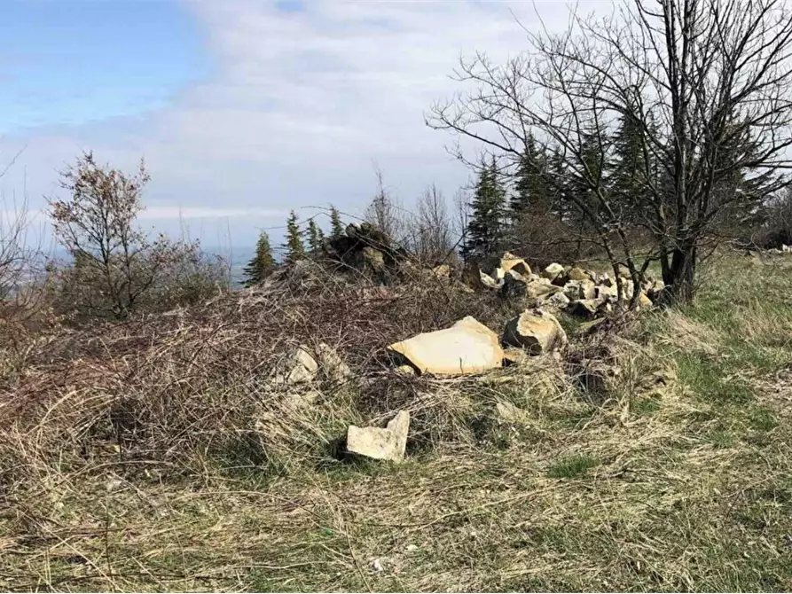 Immagine 3 di Terreno edificabile in vendita  in Località Boffalora a Gazzola