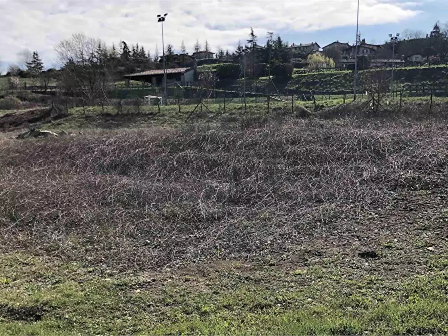 Immagine 3 di Terreno edificabile in vendita  in Località Rezzanello a Gazzola