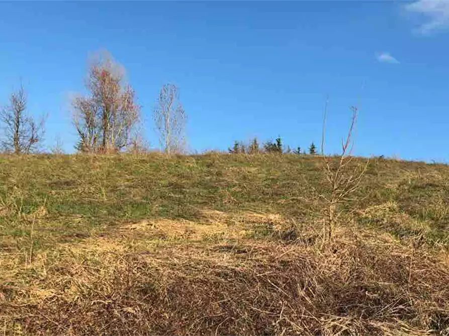 Immagine 1 di Terreno edificabile in vendita  in Località Boffalora a Gazzola