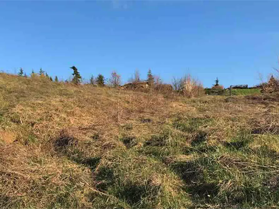 Immagine 2 di Terreno edificabile in vendita  in Località Boffalora a Gazzola