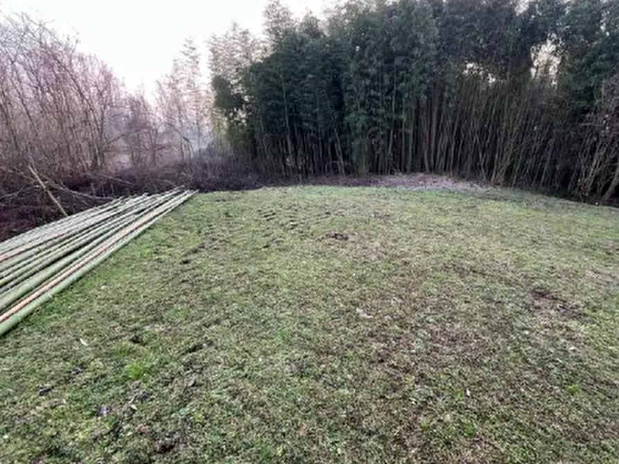 Immagine 10 di Appartamento in vendita  in Via Molinara a Bagnolo San Vito