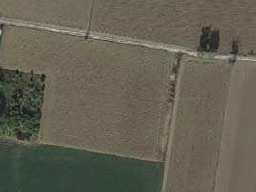 Immagine 4 di Terreno agricolo in vendita  in Comune di Casteggio a Casteggio