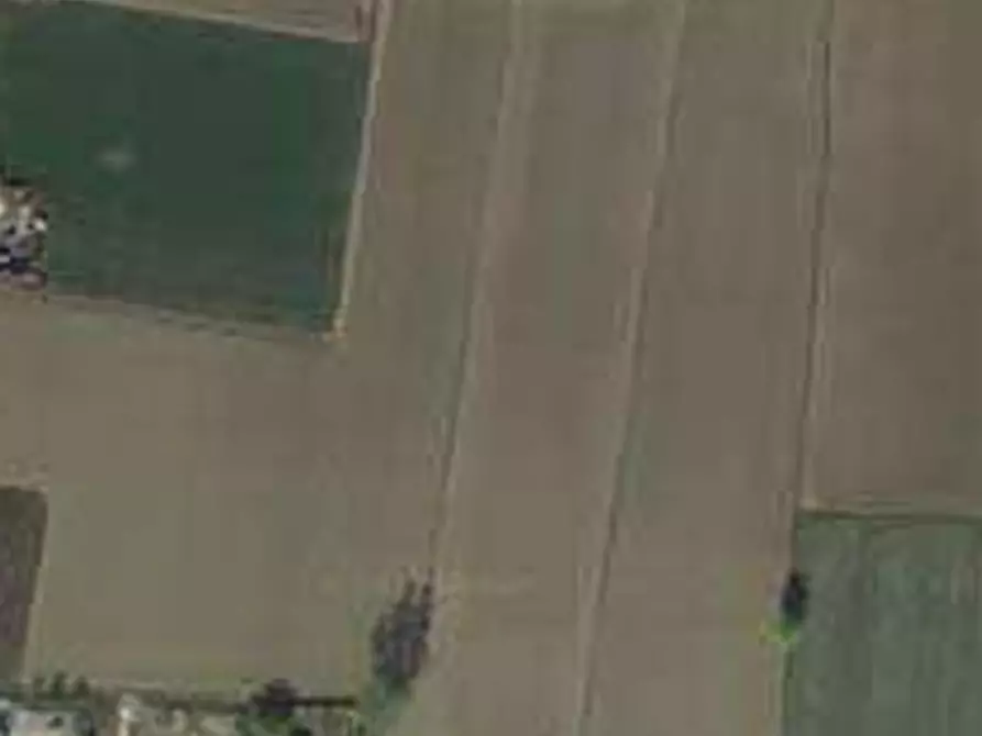 Immagine 5 di Terreno agricolo in vendita  in Comune di Casteggio a Casteggio