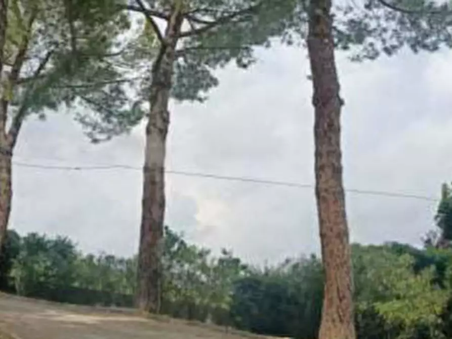 Immagine 15 di Appartamento in vendita  in Strada Montegranarese a Sant'elpidio A Mare