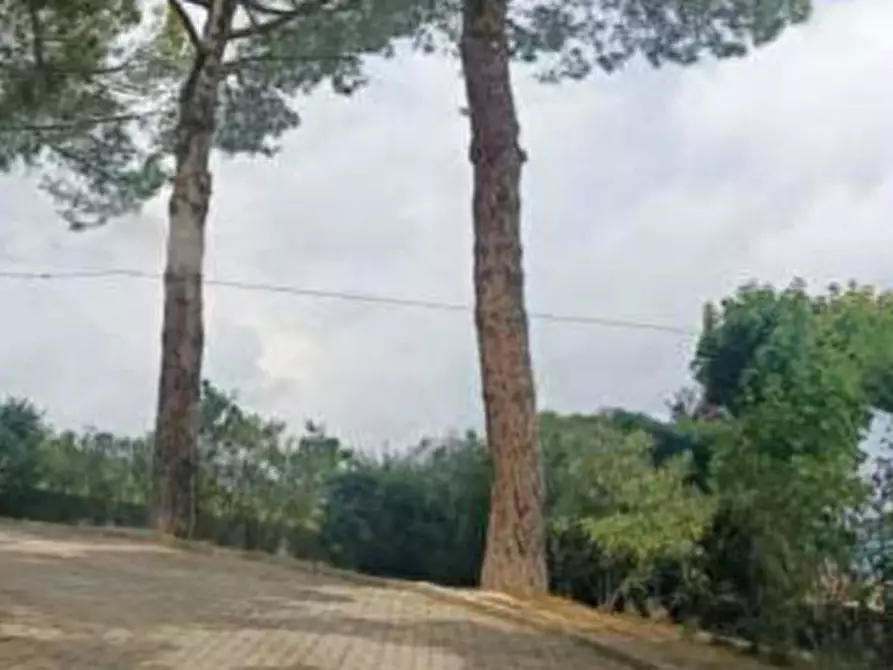 Immagine 16 di Appartamento in vendita  in Strada Montegranarese a Sant'elpidio A Mare