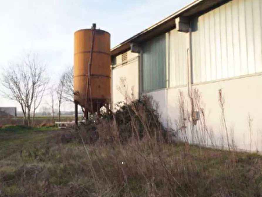 Immagine 7 di Capannone industriale in vendita  in Via Tessagli Primi a Commessaggio