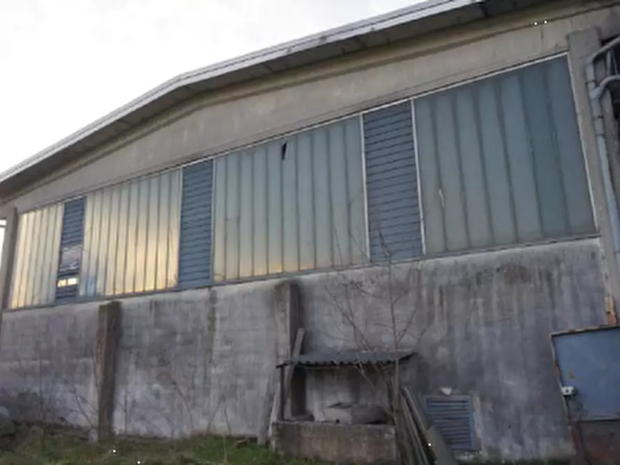Immagine 8 di Capannone industriale in vendita  in Via Tessagli Primi a Commessaggio