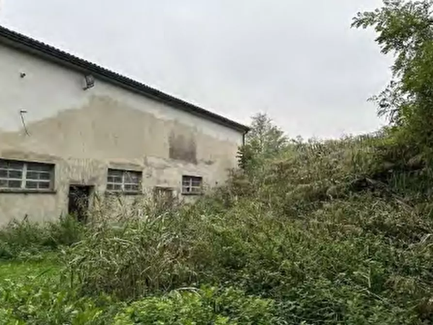 Immagine 9 di Rustico / casale in vendita  in Via Argine Secchia Sud a Quistello